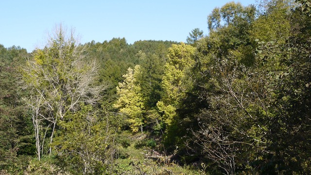 P1060352