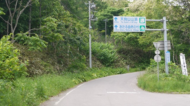 P1050568