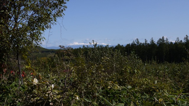 P1060388