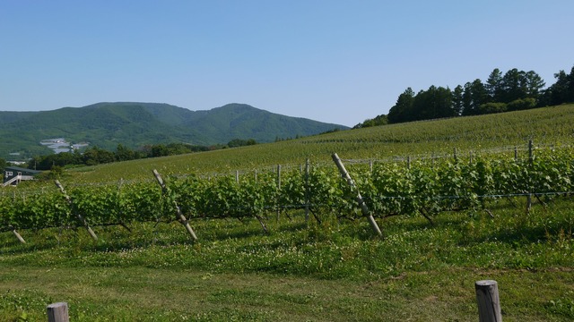 P1070032