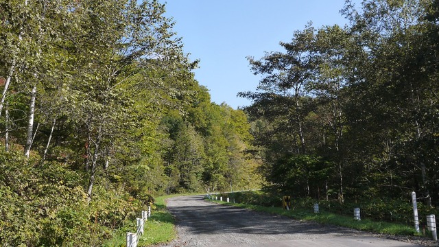 P1060369