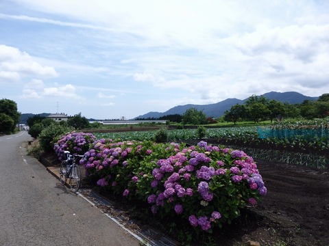 P6200178