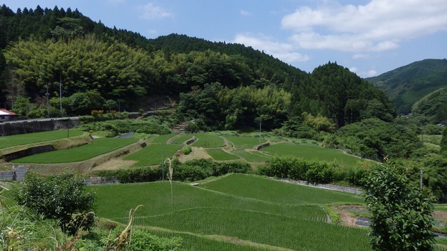 P6200151