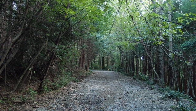 P9270306