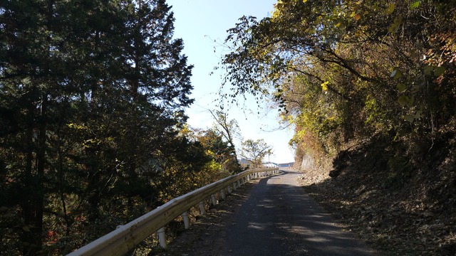 P1080208