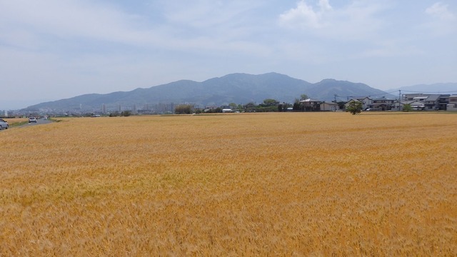 P5020013