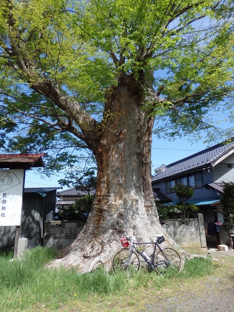 P4230031