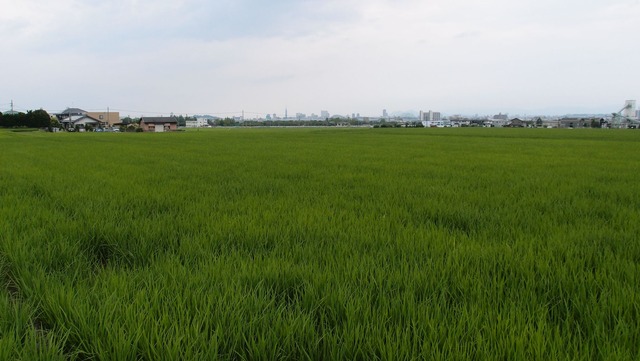P7240114