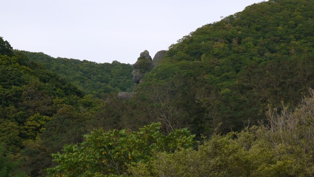 P1060128