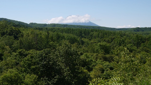 P1050746