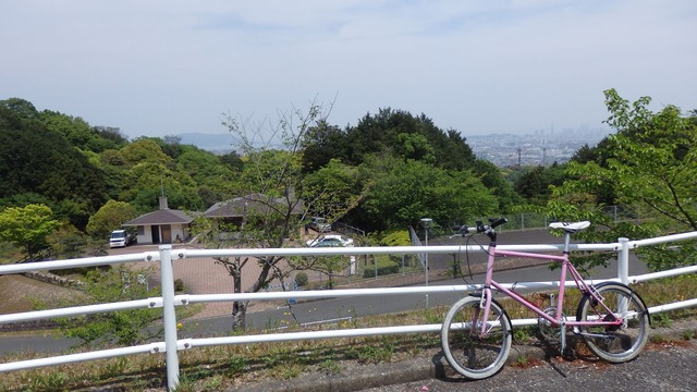 P5020006