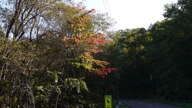 P1060353