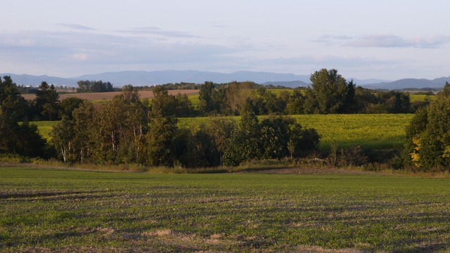 P1060542