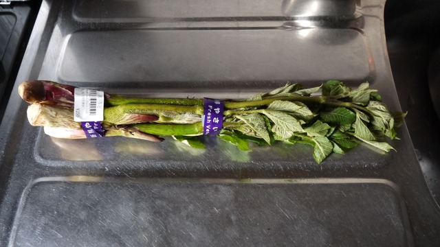 P1050544