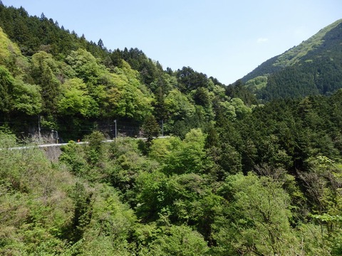 P5020086