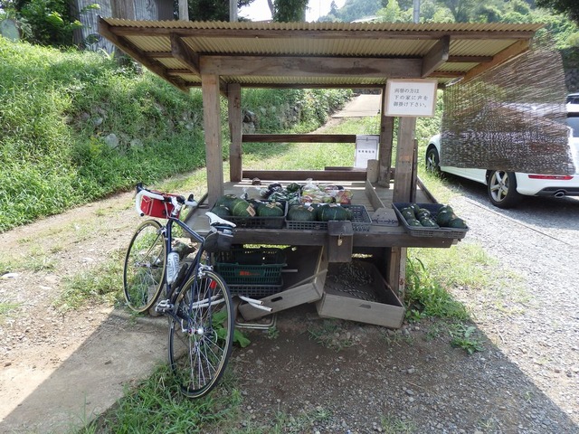 P9050030