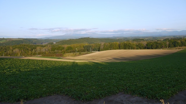 P1060527