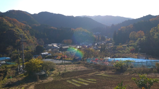 P1080253