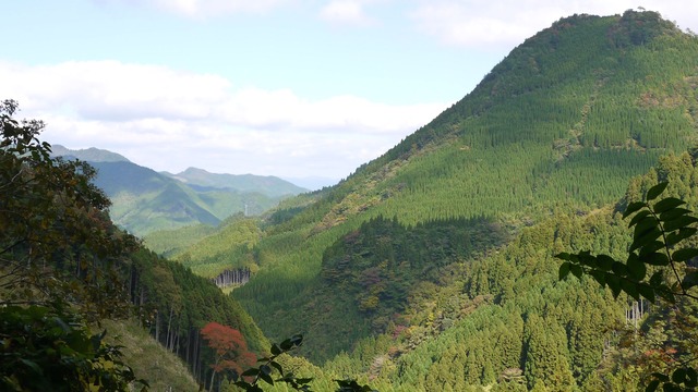 P1050100