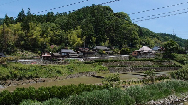 P6040660