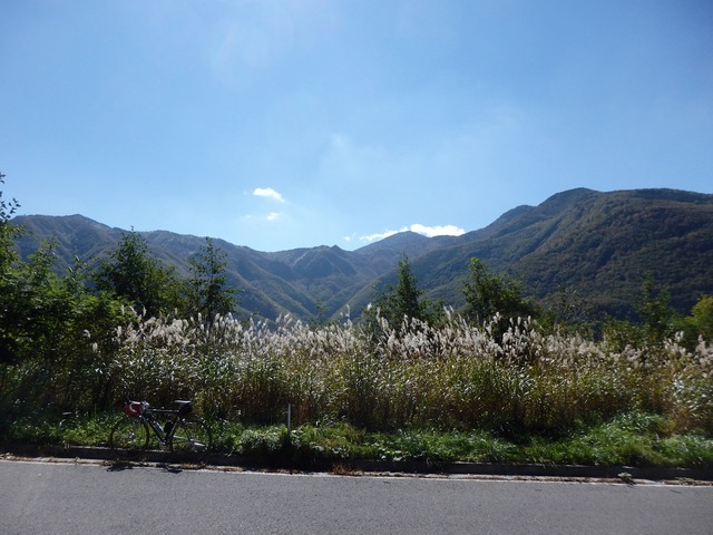 PA150123