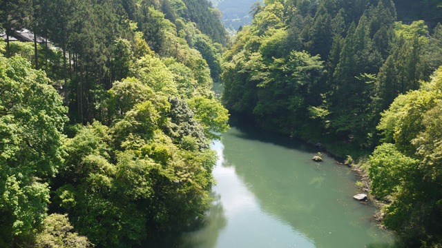 P1080620
