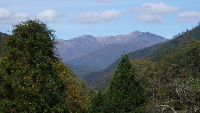 PA130065