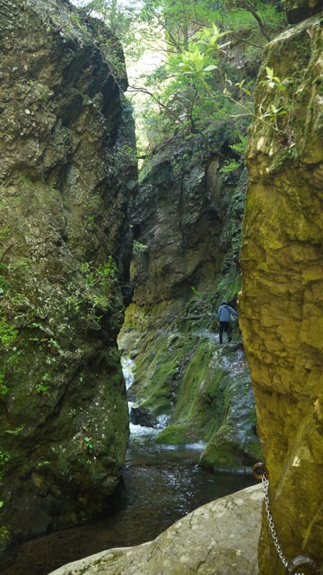 P1080558