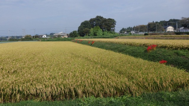 P9280017