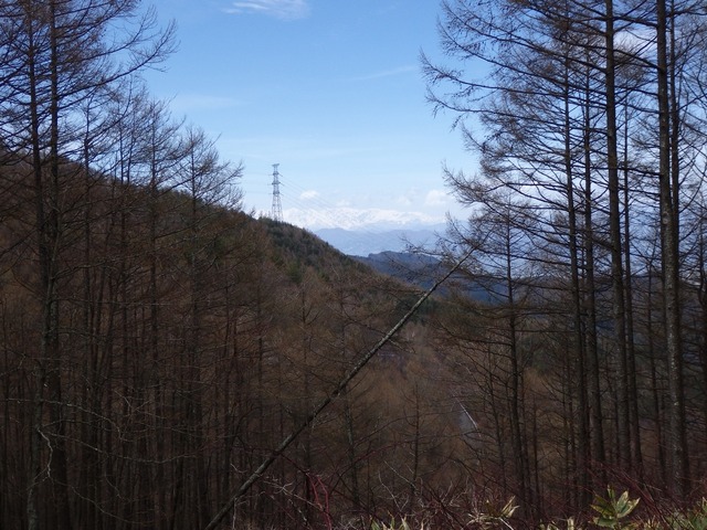 P4230039