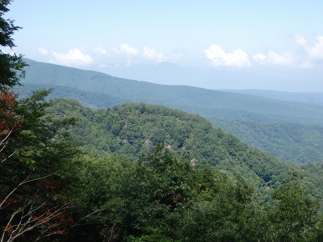 P8060389