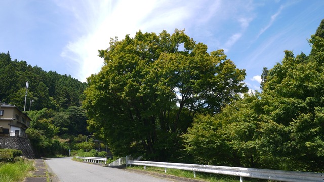 P1070694