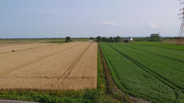 P1070215