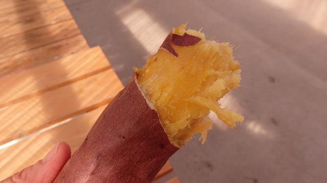 P3070048