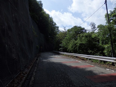 P8130040