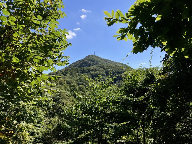 IMG_0610