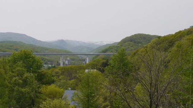 P1060728