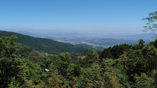 P5291363