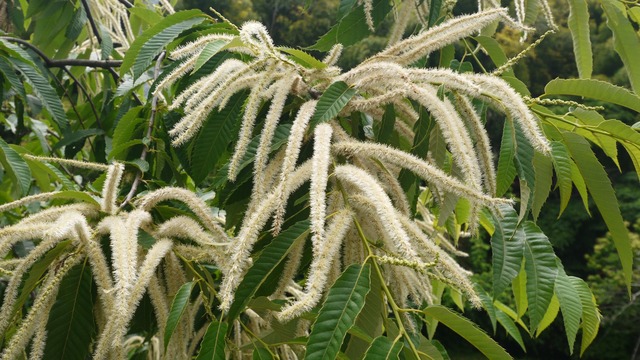 P1080802