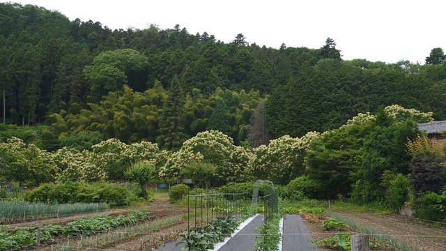 P1080780