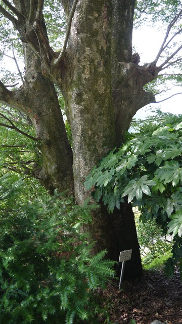 P1070689