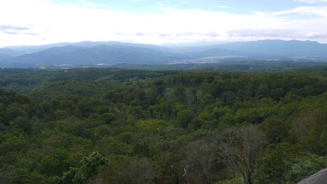P1060062