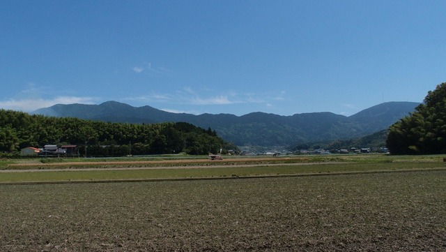 P5291413