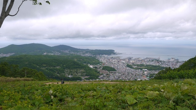 P1050590