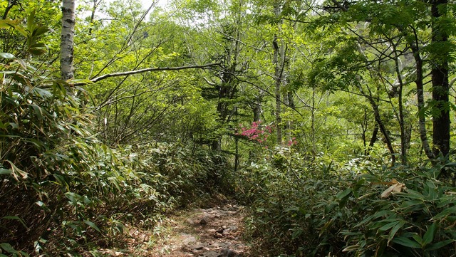 P6110340