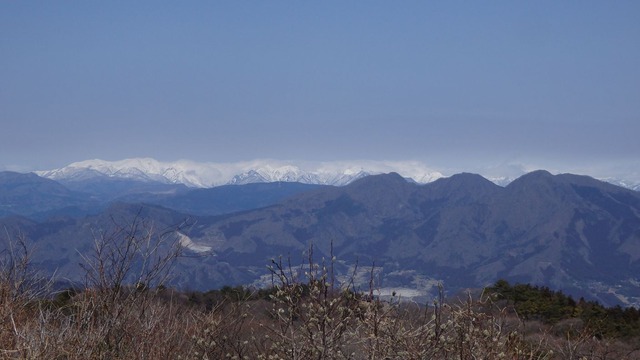 P3010039