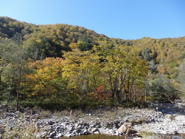 PA150230