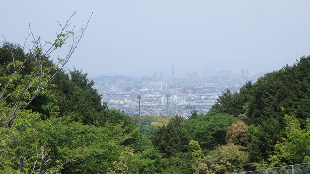 P5020039