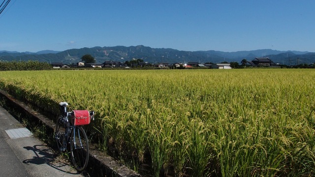 P9210106