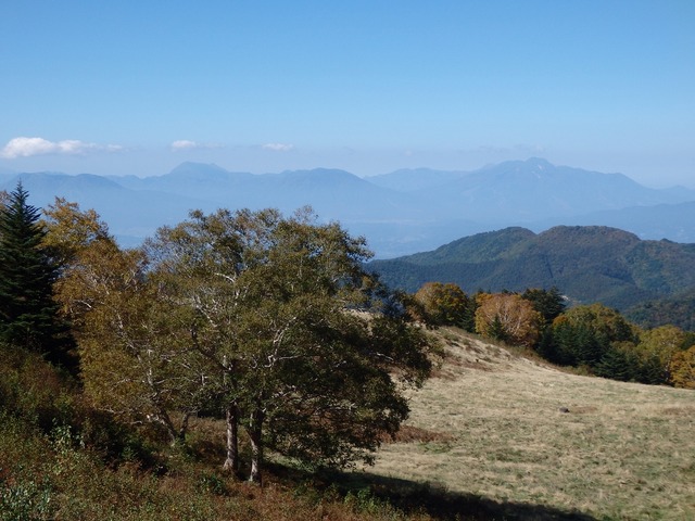 PA150159